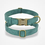 Collier Chien Cuir Personnalisé Turquoise / XS