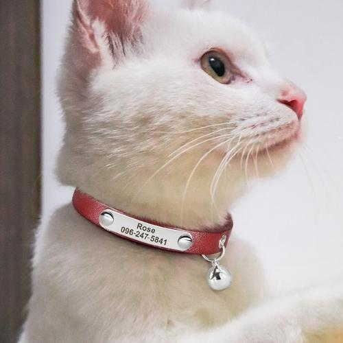 Collier pour Chat Personnalisé